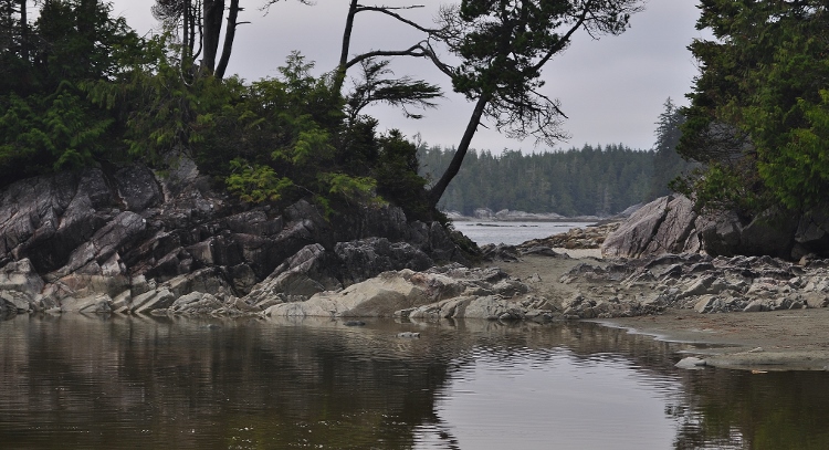 rocky beach scene